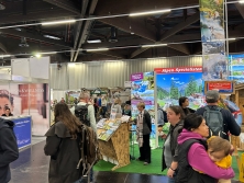 Exklusiver Counter Raurisertal