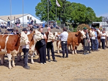 Allgemeine Impressionen