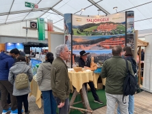 Panoramahotel Taljörgele auf dem Mannheimer Maimarkt