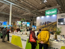 Allgemeine Impressionen