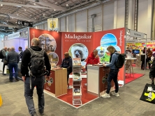 Allgemeine Impressionen