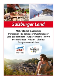 Aufsteller Privatvermieter Salzburg