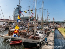 Sail Bremerhaven 2015