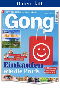 Datenblatt-Gong